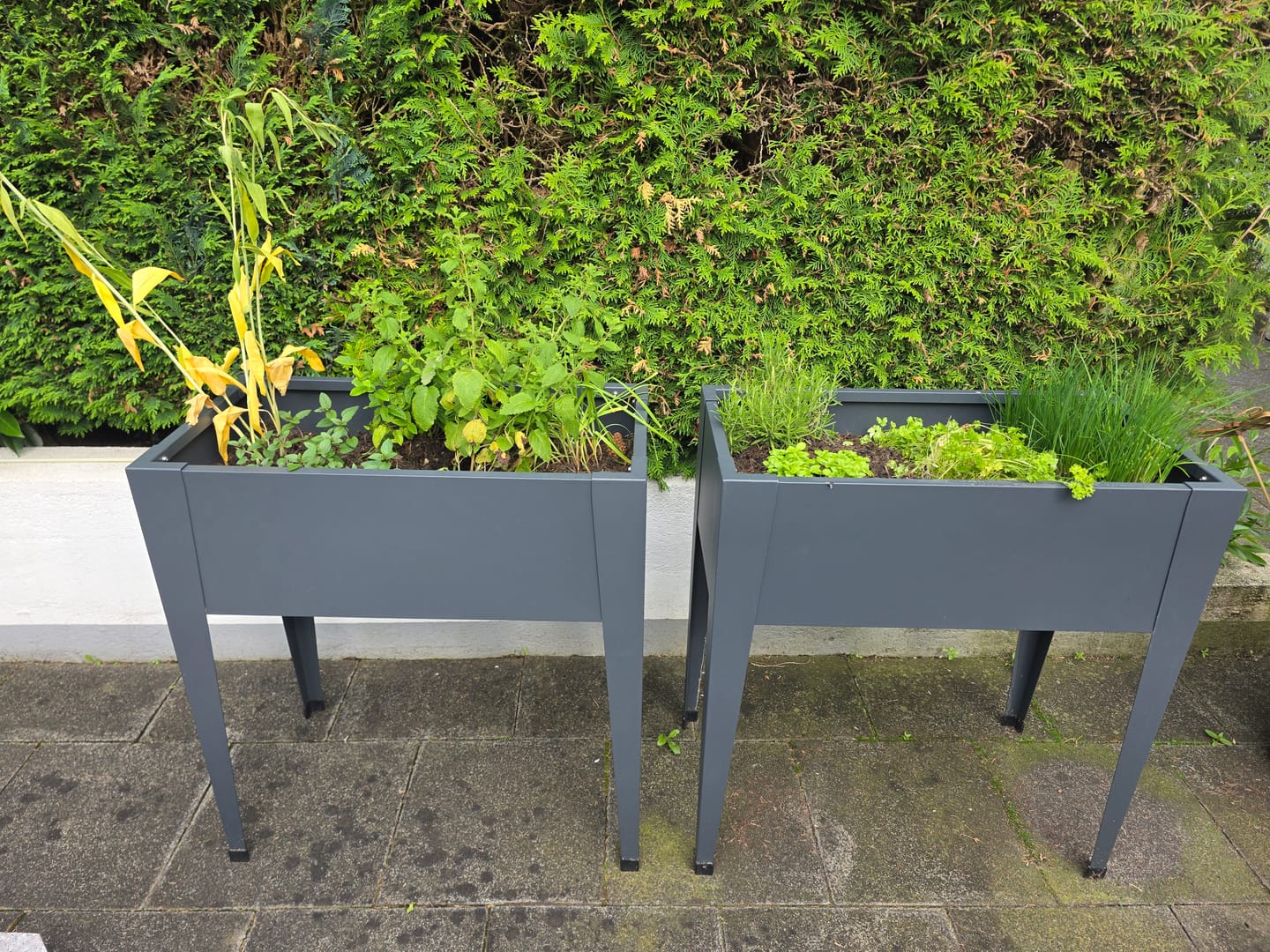 Customer photo review of Hochbeet HB8 | pulverbeschichtet in Anthrazit (RAL7016) | 74x40x80 cm