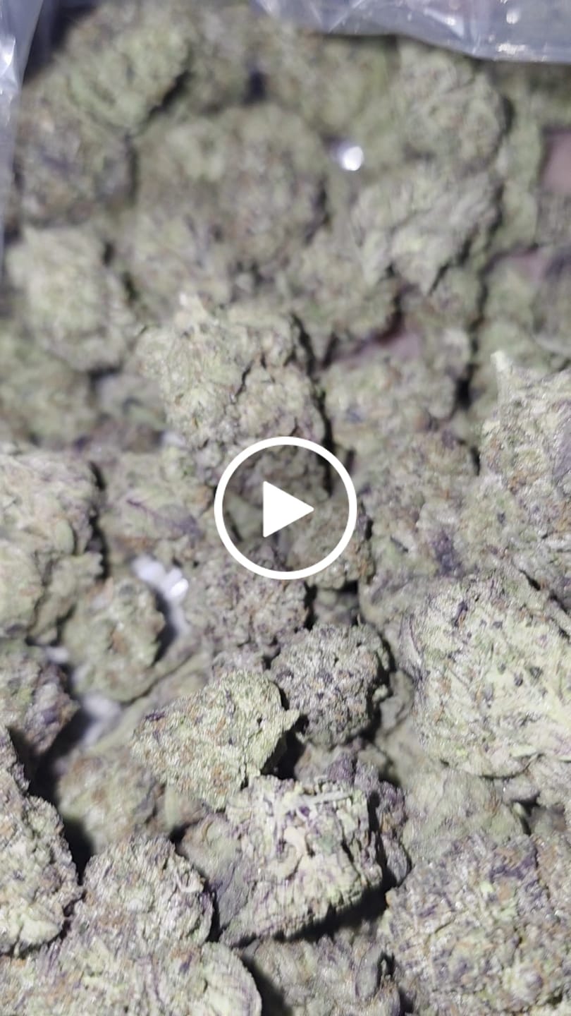 Customer video review of Black Cherry Runtz Indoor - Bulk - Indica