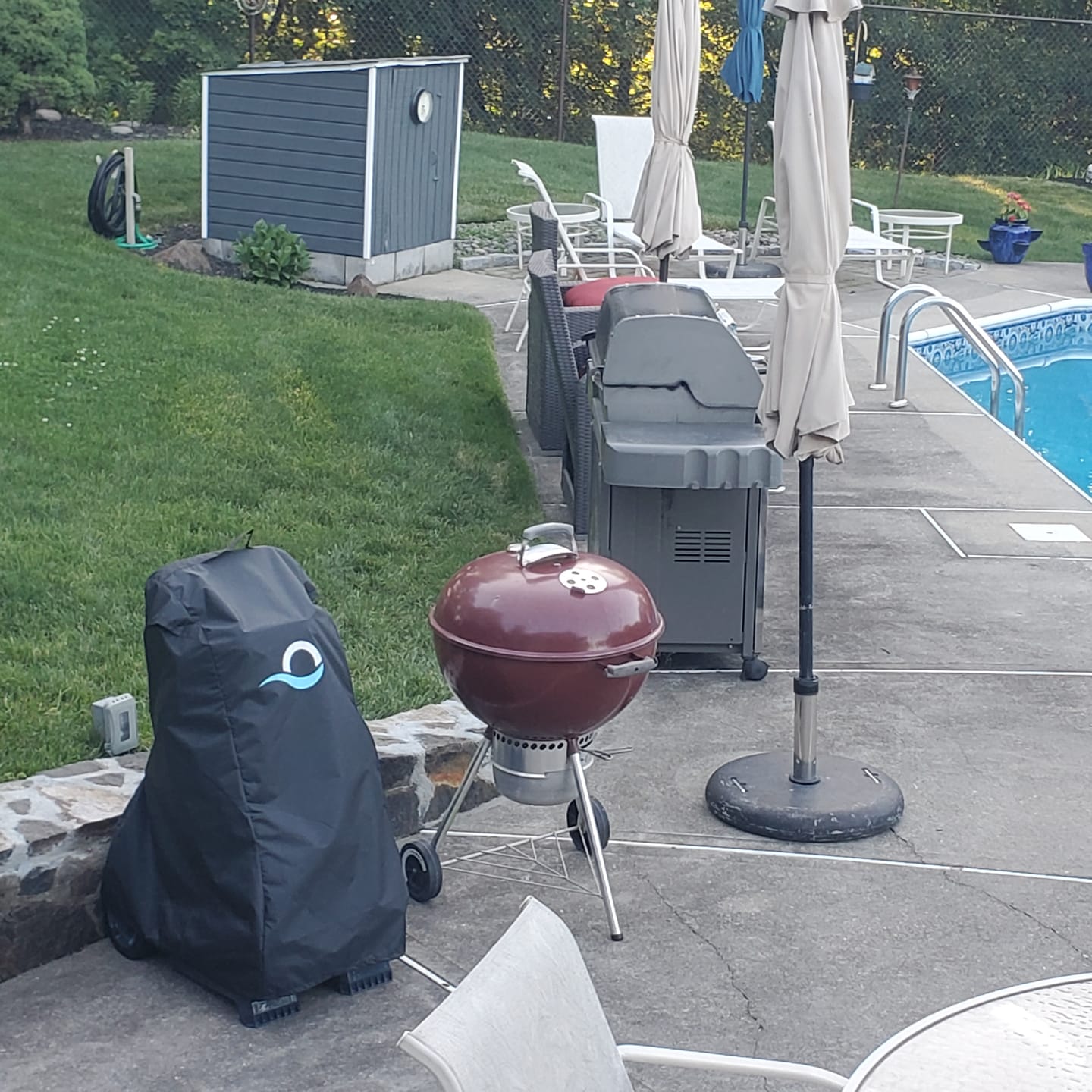 Customer photo review of Maytronics Dolphin Caddy Cover