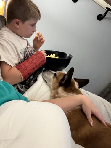 Customer photo review of MarshMellow Comforter