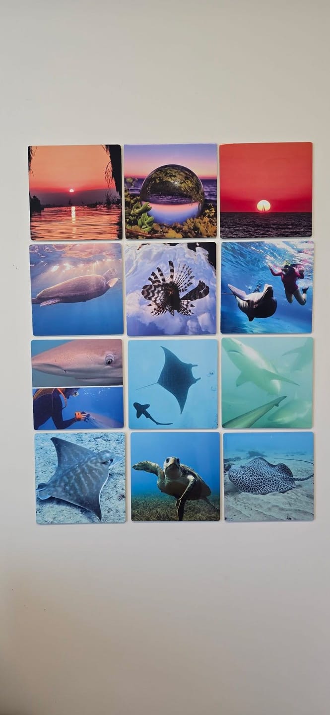 Customer photo review of 2. Metal Photo Tiles