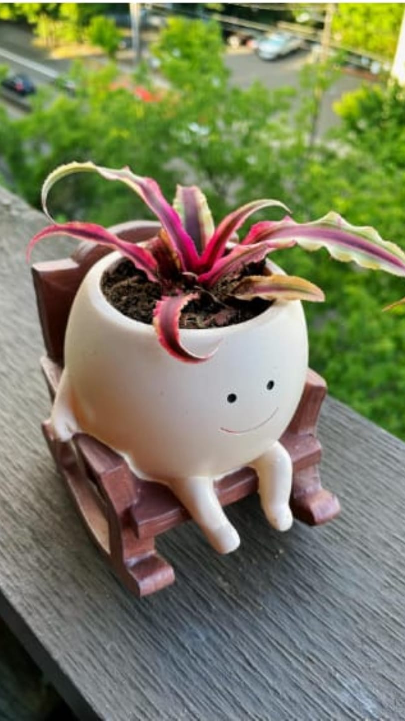 Customer photo review of Pokipot™ Maceta Feliz