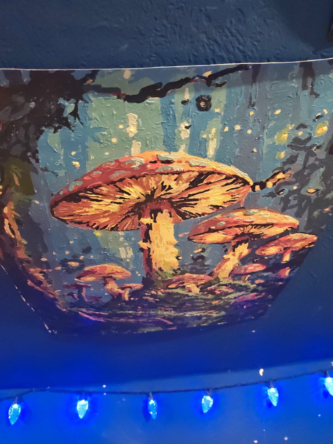 Customer photo review of Mushroom Biome