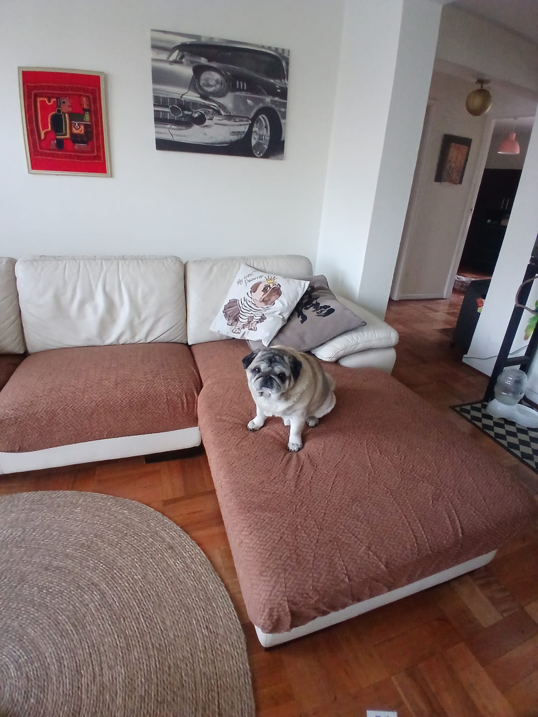 Customer photo review of Funda Mágica Sofá —  Renueva tu sofá en 2 minutos