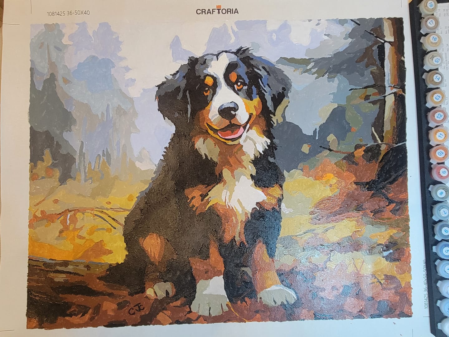 Customer photo review of Tri-Color Pup Paradise