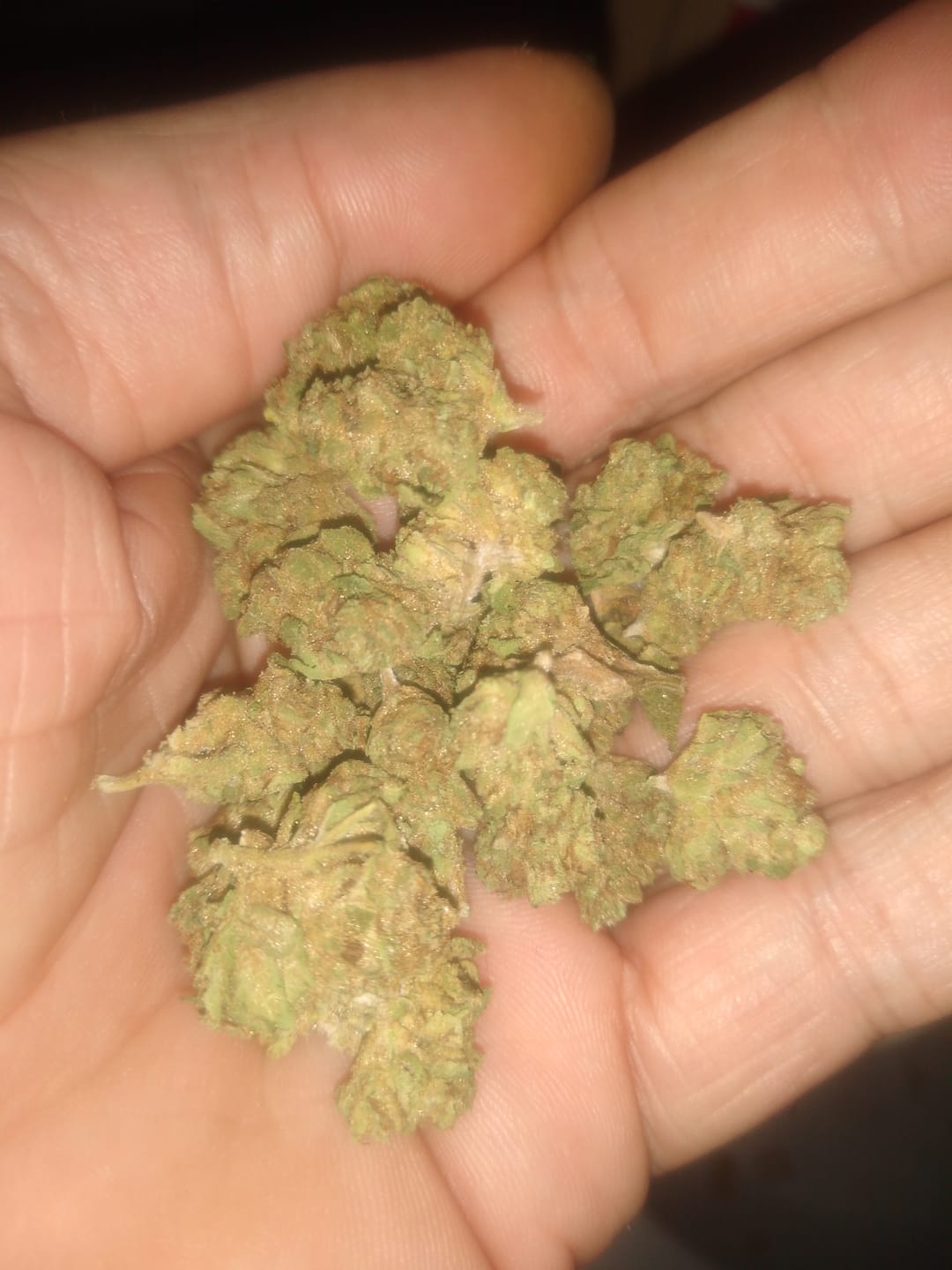 Customer photo review of LCG Runtz - Minis - 28 Grams - Hybrid