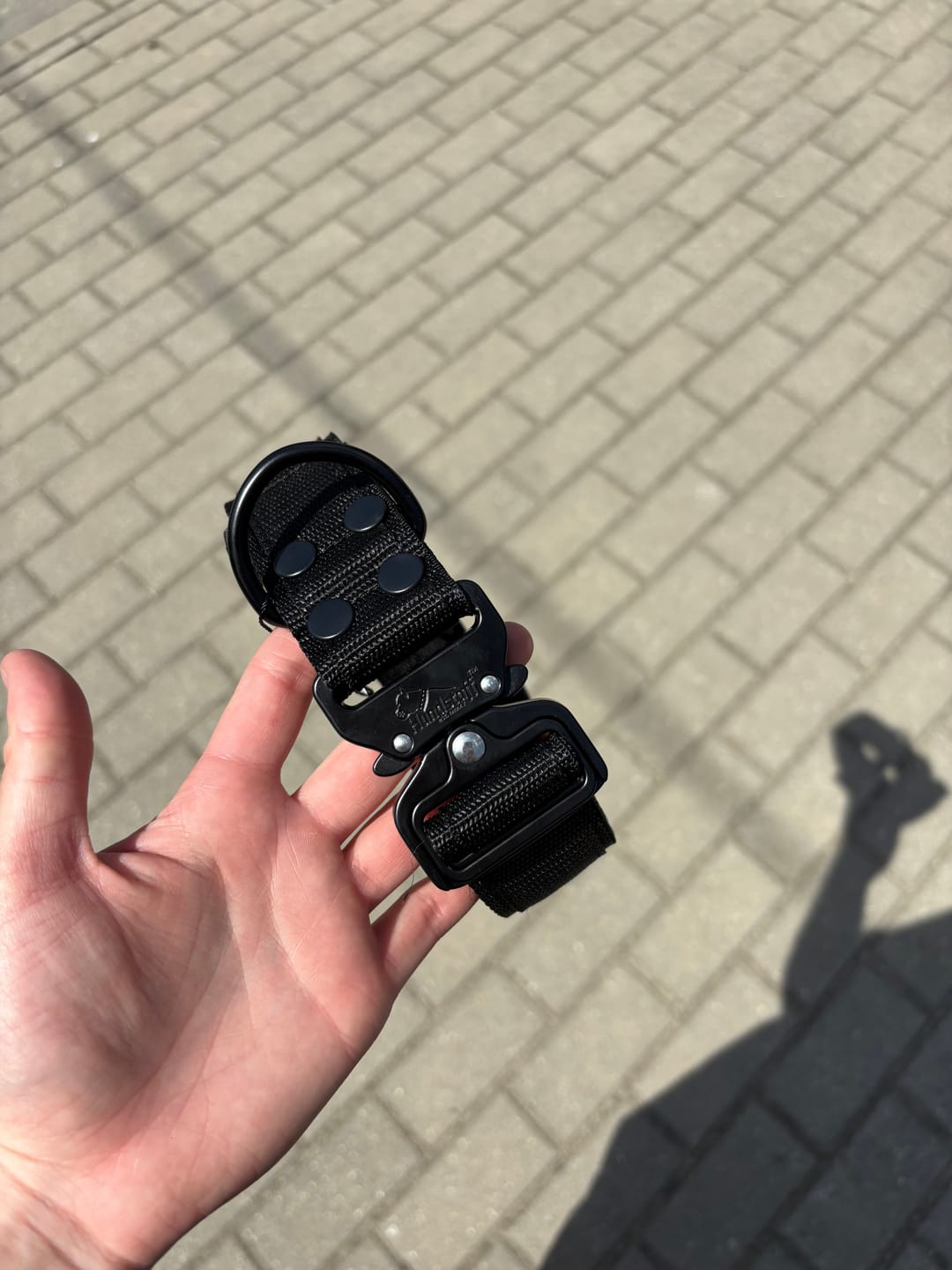 Customer photo review of Szeroka obroża klamrą extreme - Extreme Buckle Black Edition Czarna