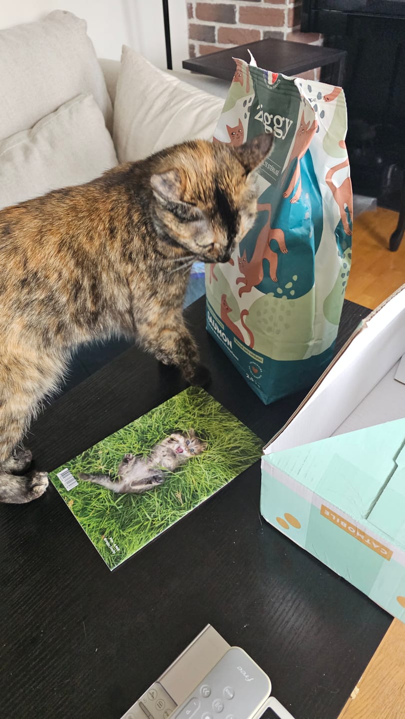 Customer photo review of Croquettes Chat Stérilisé Sans Céréales - Saumon