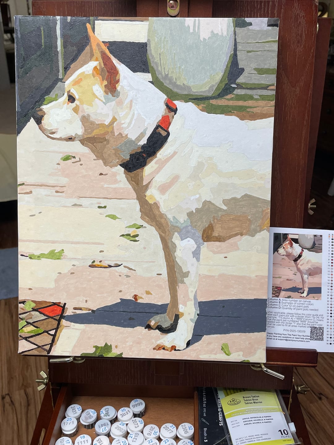 Customer photo review of Custom Paint By Numbers Kit