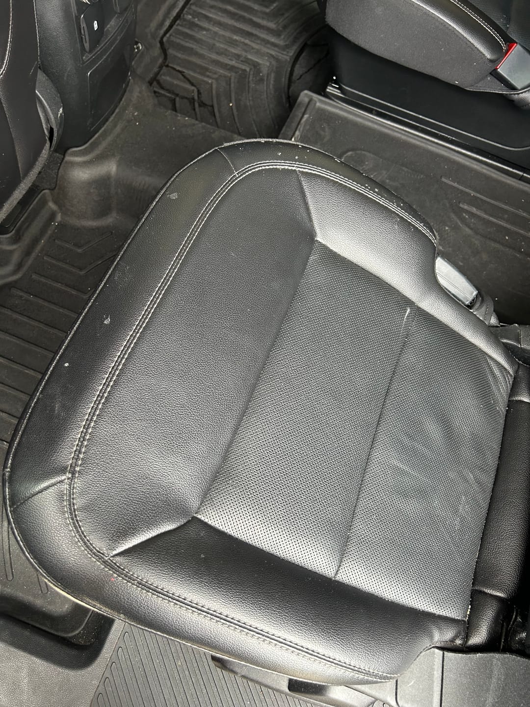 Customer photo review of BLACKLINE® RESET INTERIOR CLEANER & SCENT BOOSTER