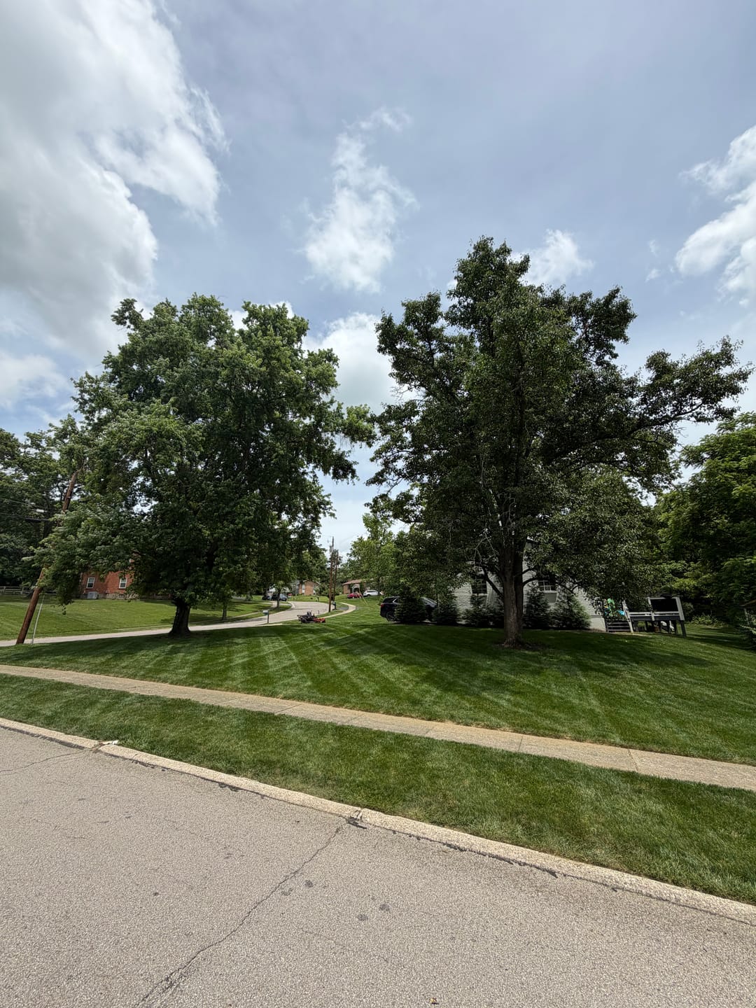 Customer photo review of Broominator — Turn Any Mower Into a Striping Machine