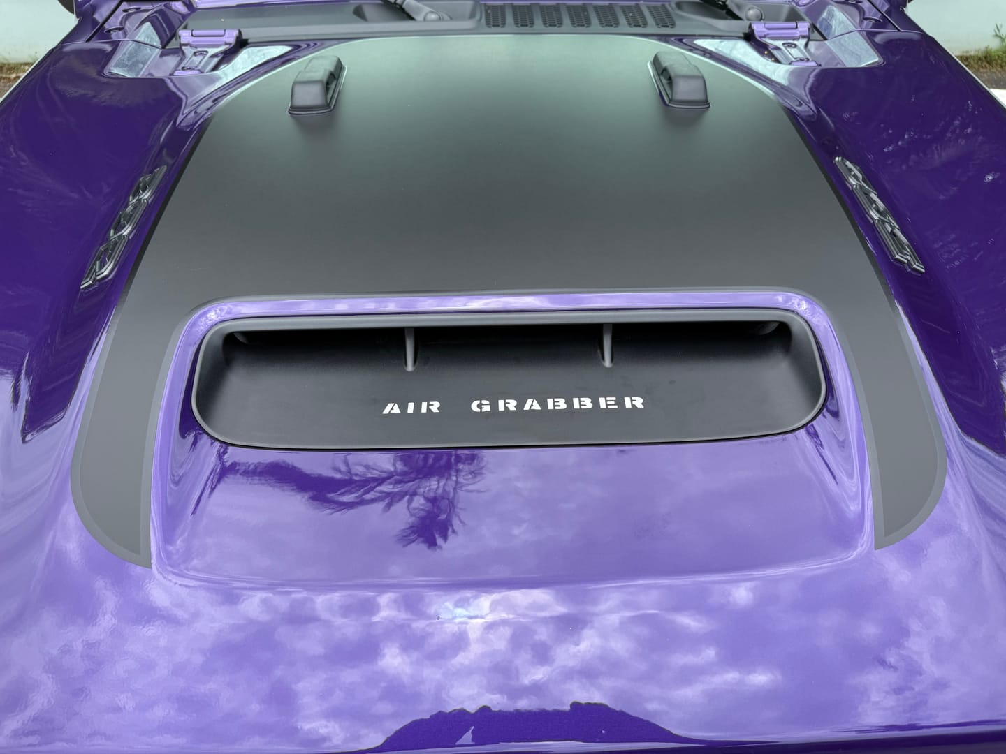 Customer photo review of Hood Graphic for Wrangler 392