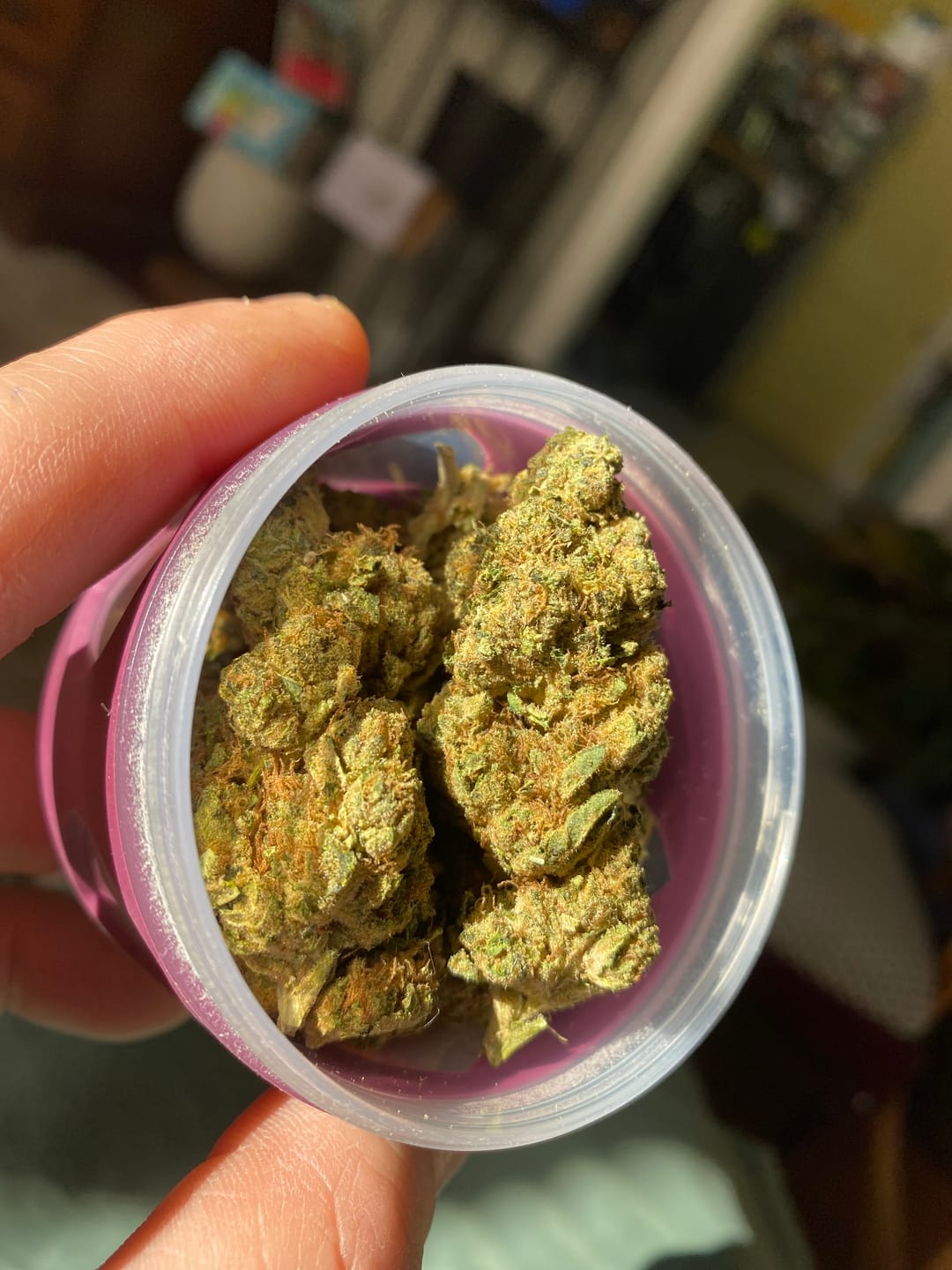 Customer photo review of Fire OG - Bulk - Indica