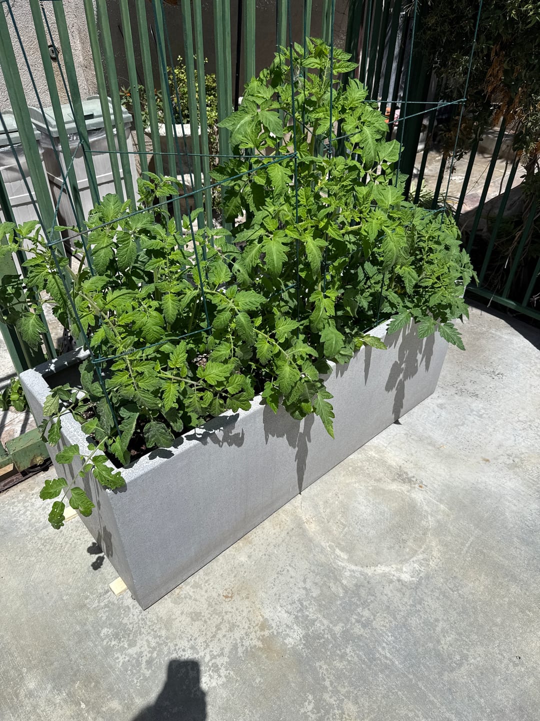 Customer photo review of Ancient Soil Organic Living Soil