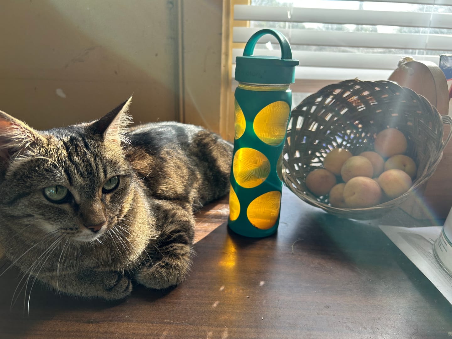 Customer photo review of Apricot Green