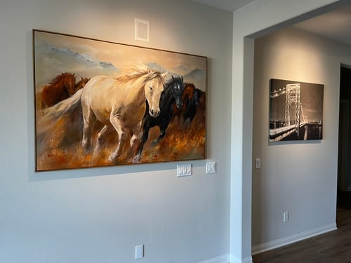 Customer review photo for Contemporary Horse Art #HA038