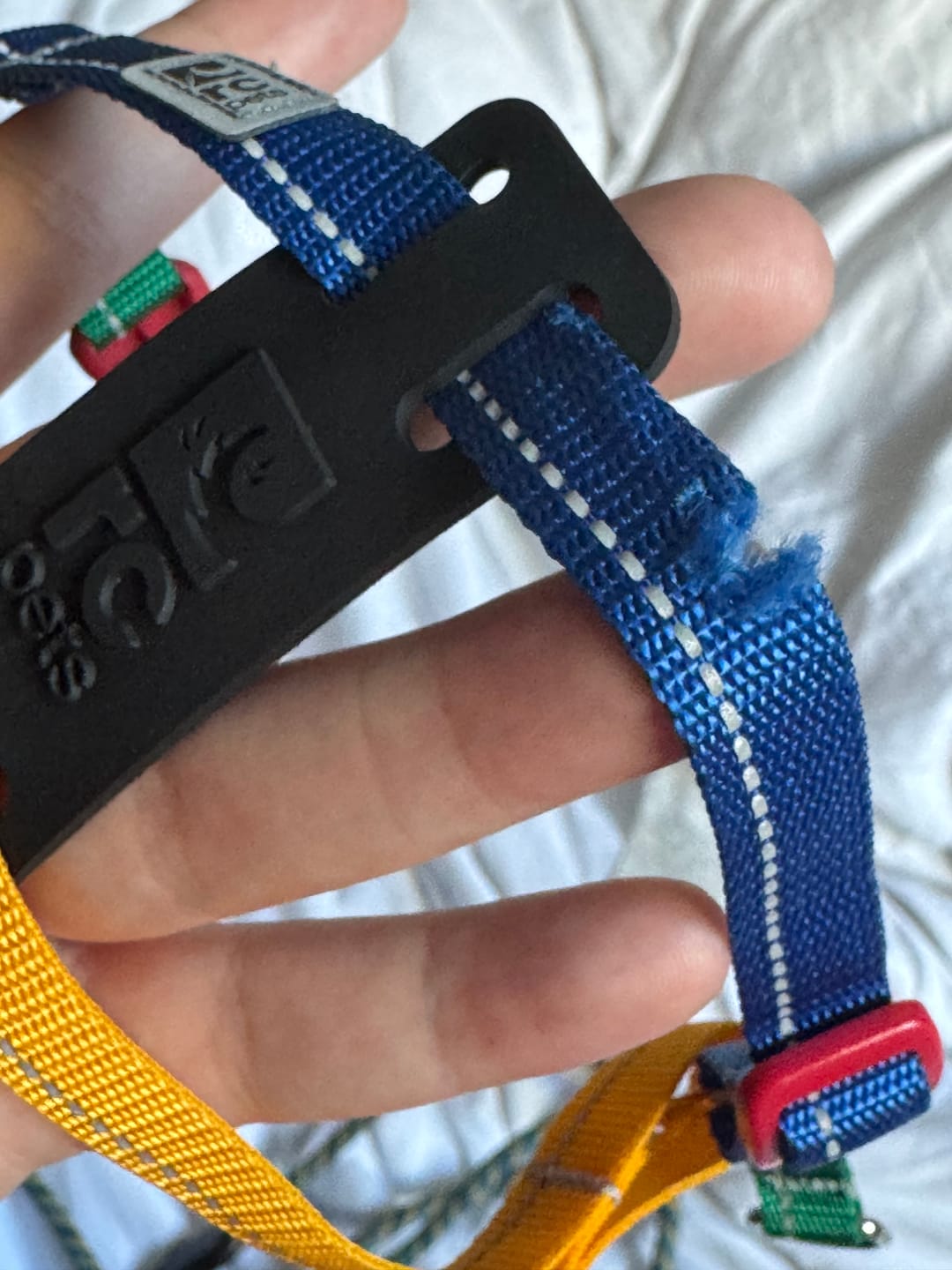 Customer photo review of RC Pet -  Petite Step In Harness PXXS Jelly Bean