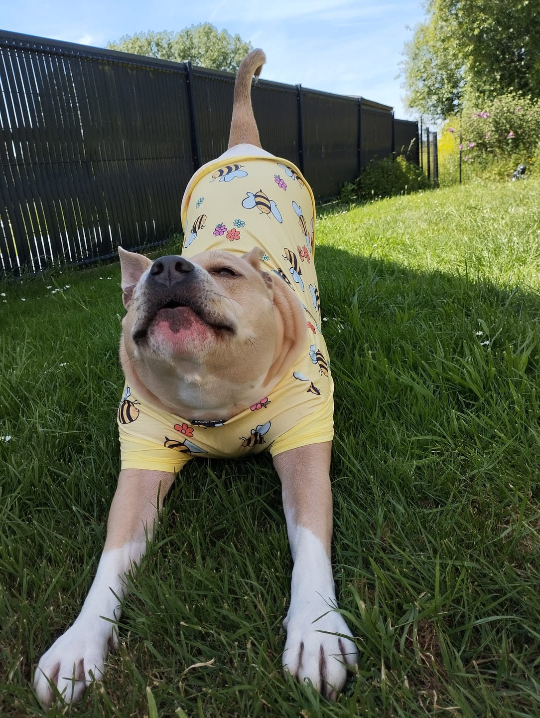 Customer photo review of Sunblock T-Shirt 3 Pack