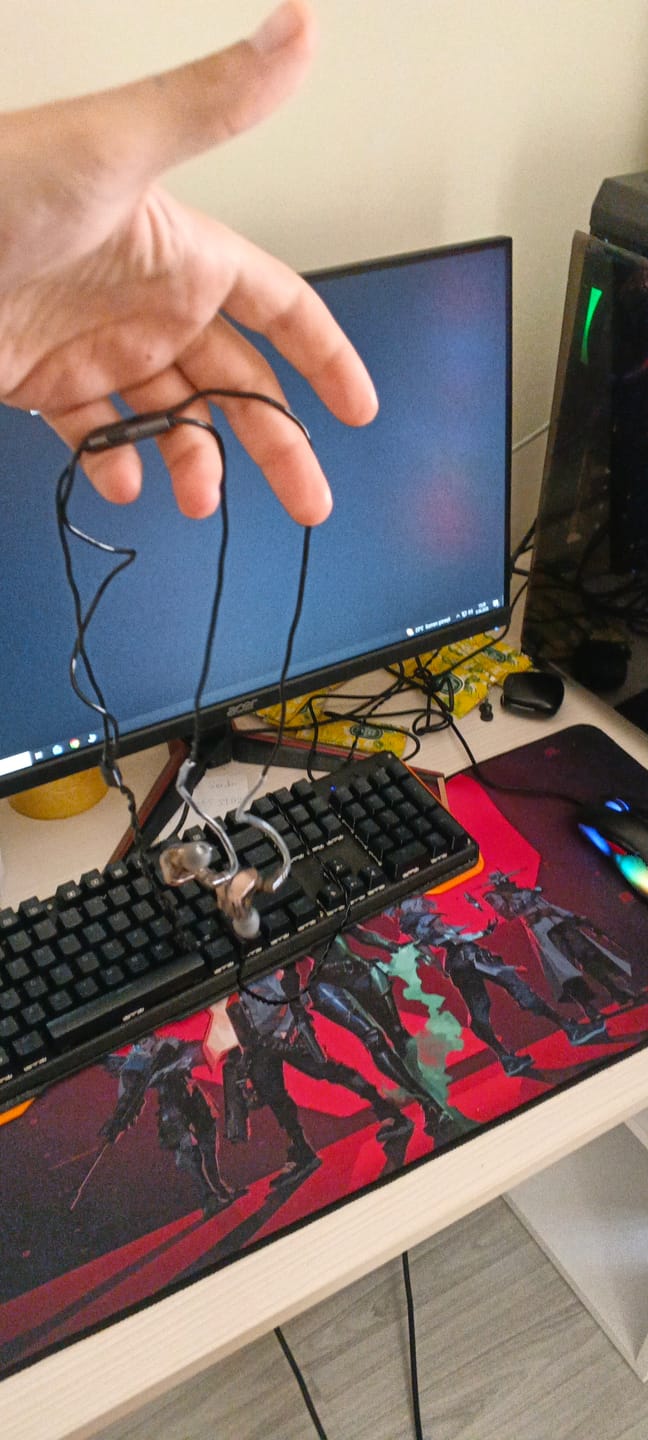 Customer photo review of Wraith Sense IEM Kulaklık