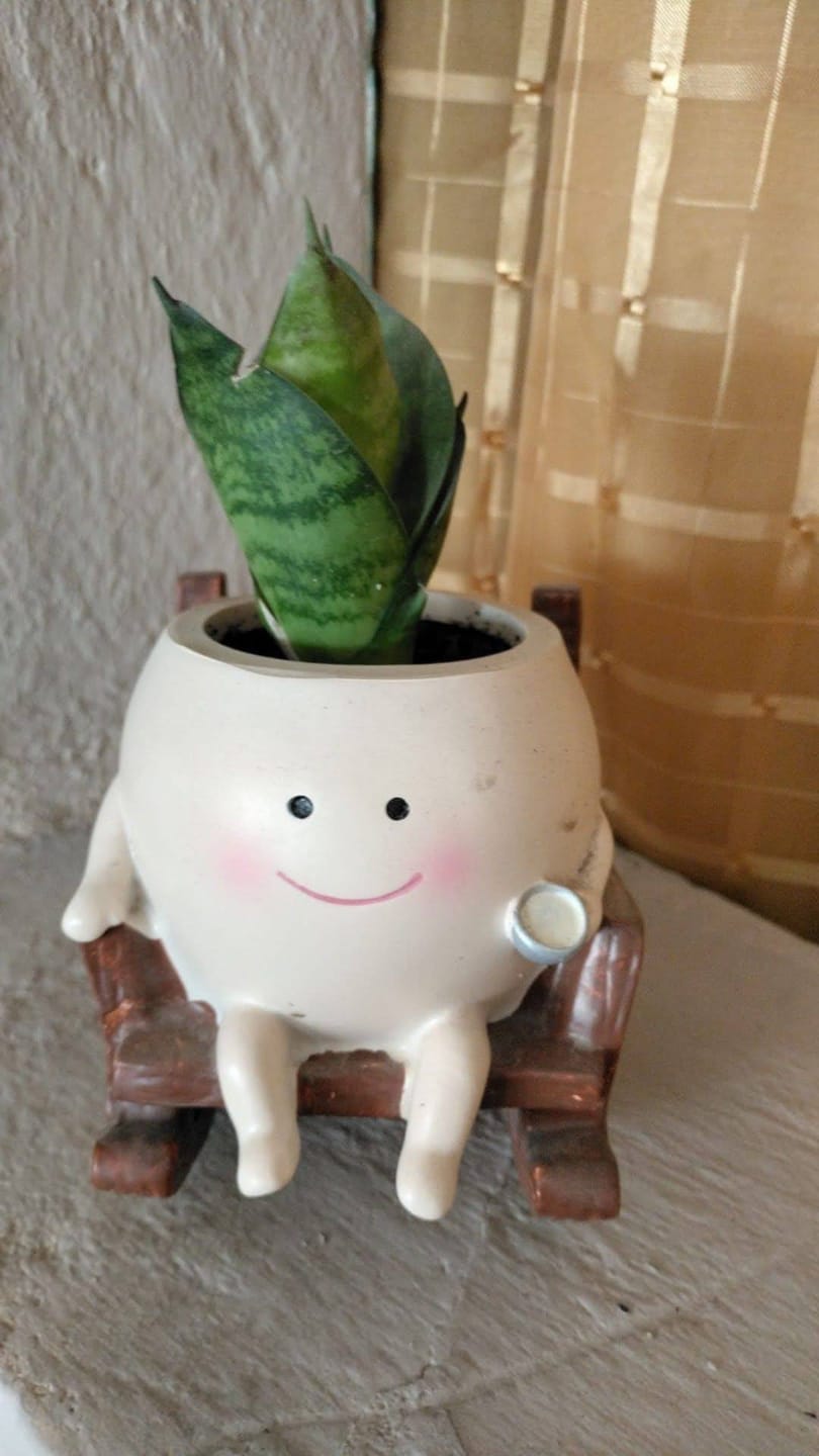 Customer photo review of Pokipot™ Maceta Feliz