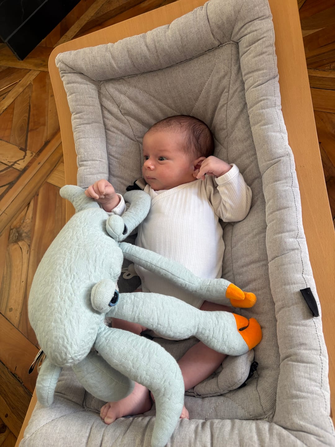 Customer photo review of The Mini Crab