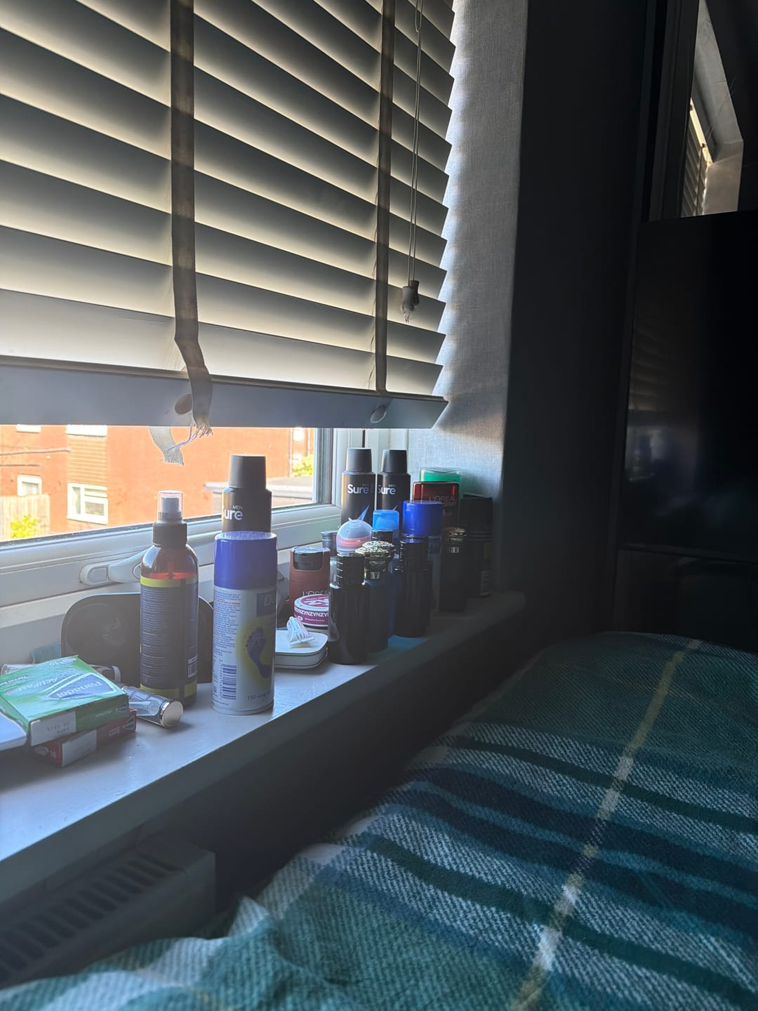 Customer photo review of Levante