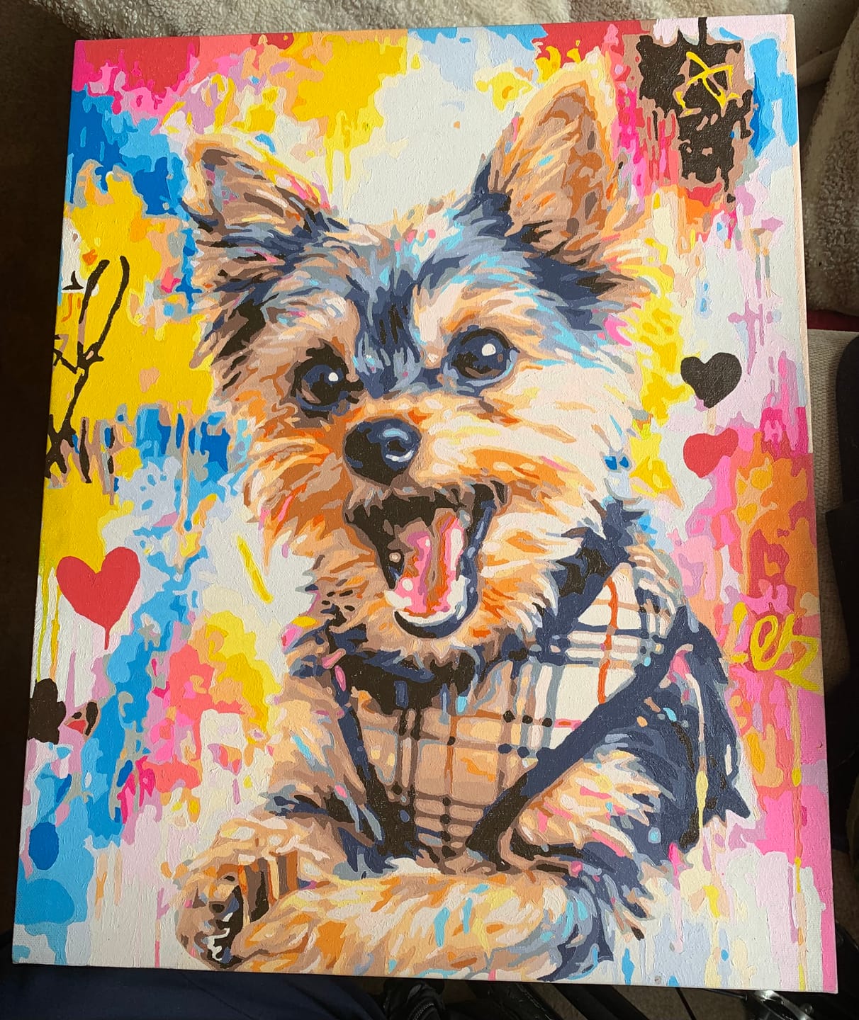 Customer photo review of Custom Paint by Numbers Kit
