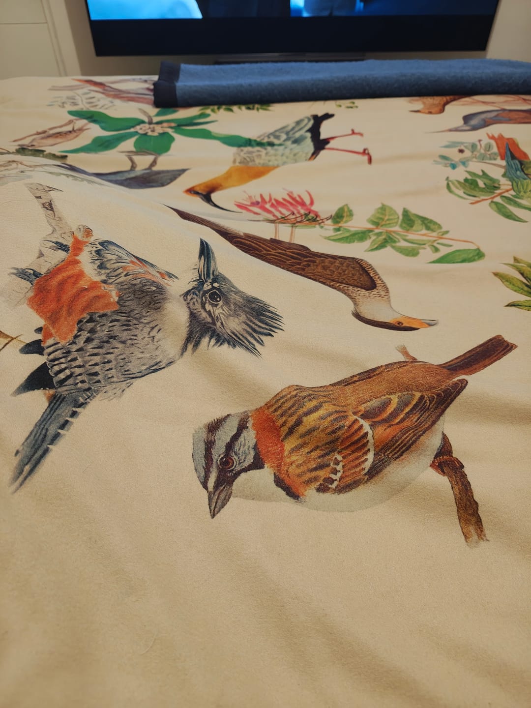 Customer photo review of Manta - Piecera Polar Nativo