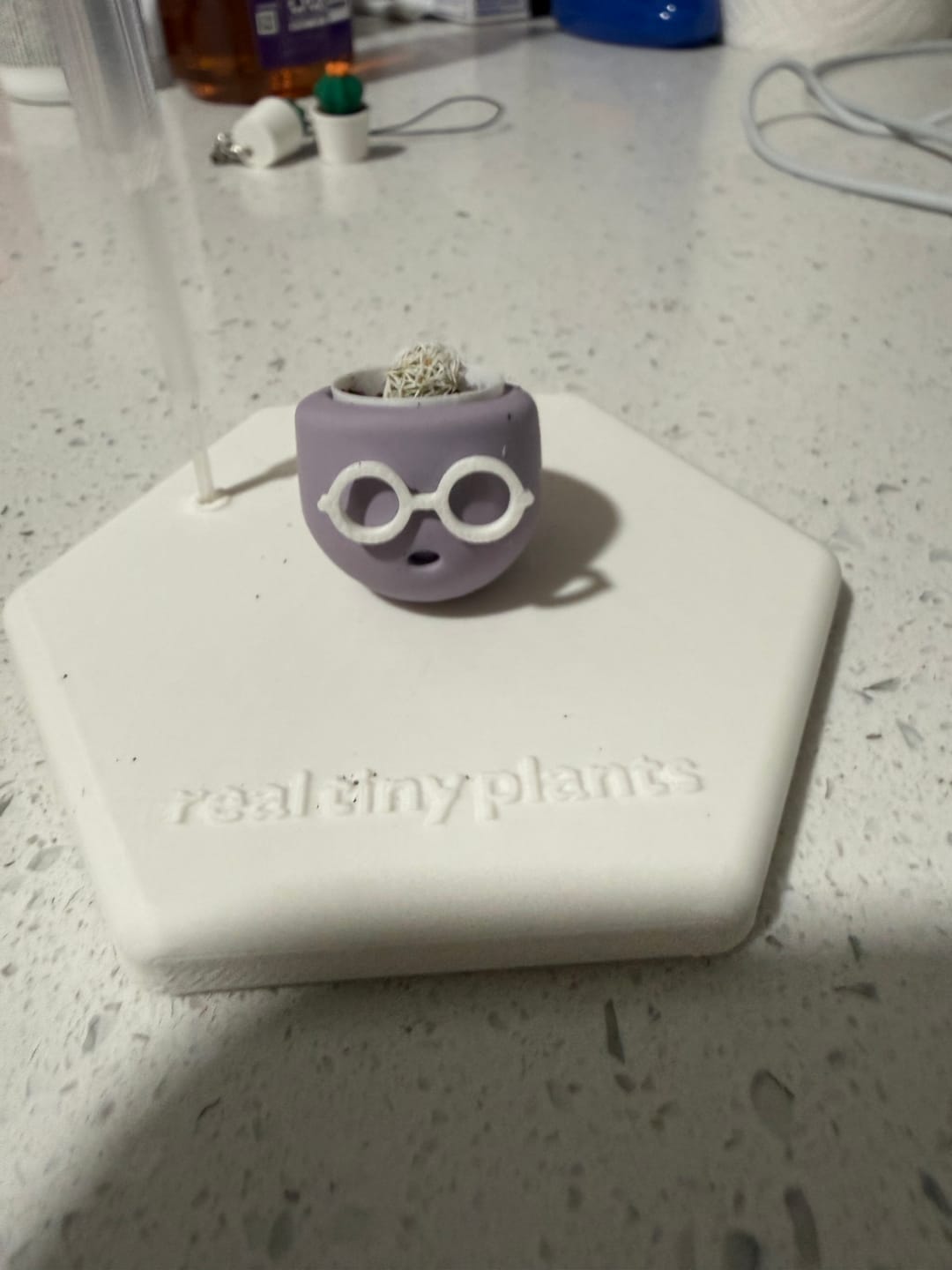 Customer photo review of Mystery Pool