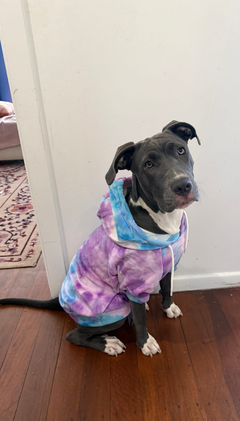 Customer photo review of Velvet Dog Hoodie - 90s Retro
