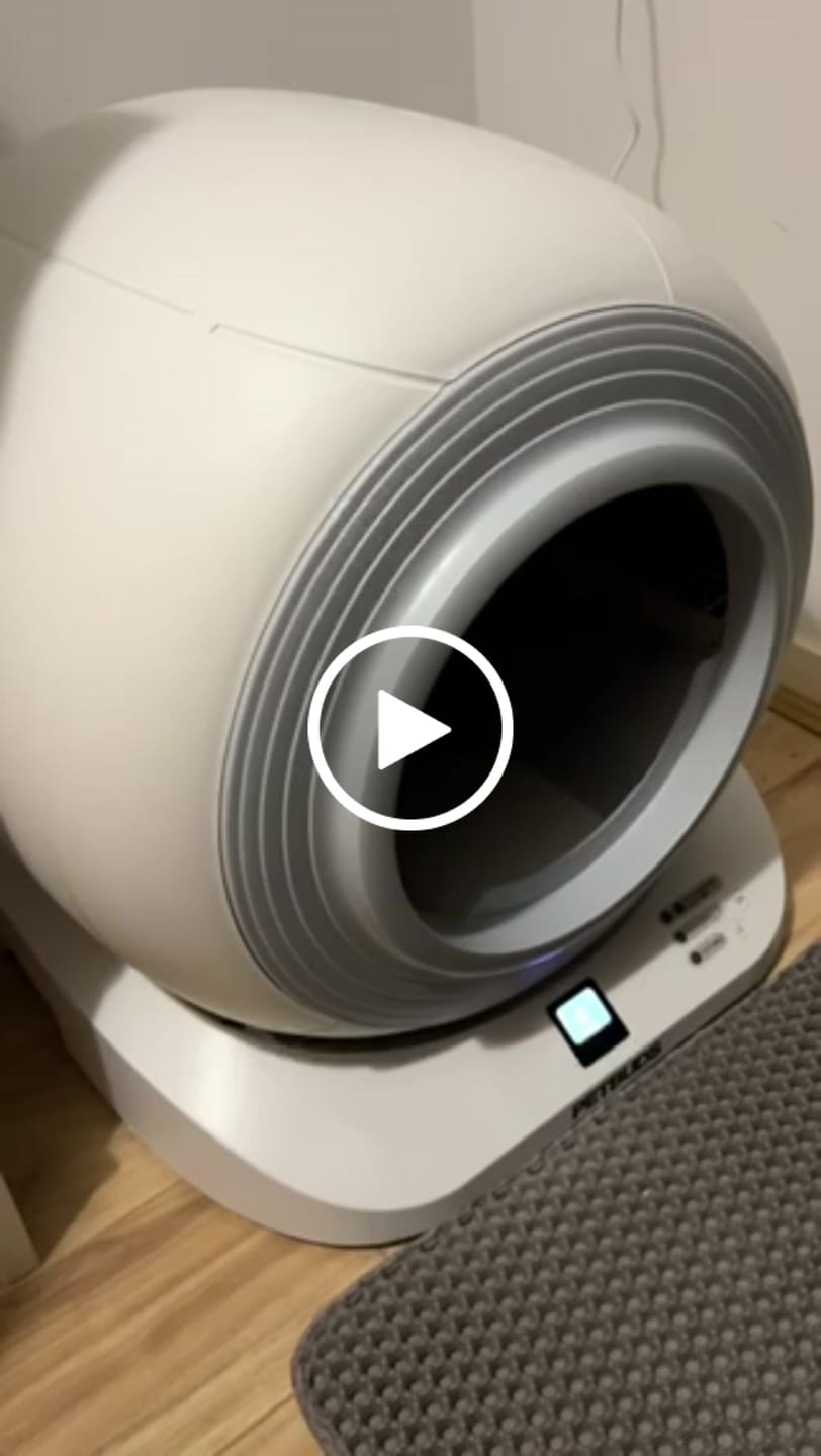 Customer video review of The Petbuds Q-CLEAN Automatic Self-Cleaning Litter Box