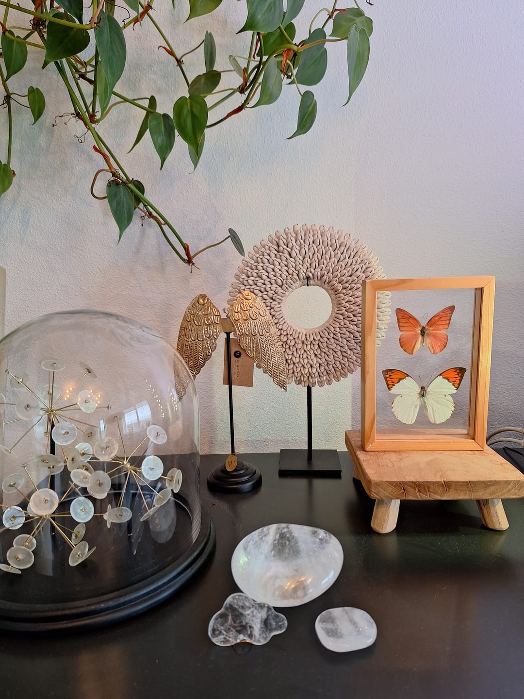 Customer photo review of Angel Wings on Stand