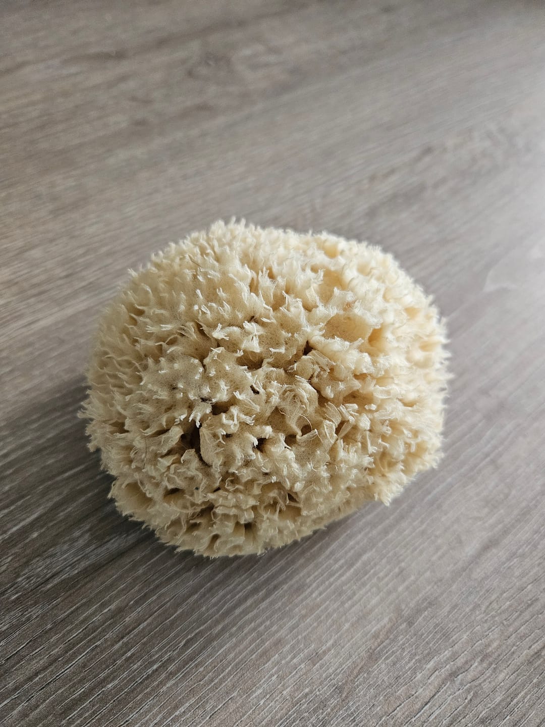 Customer photo review of Face Care Natural Sea Sponges