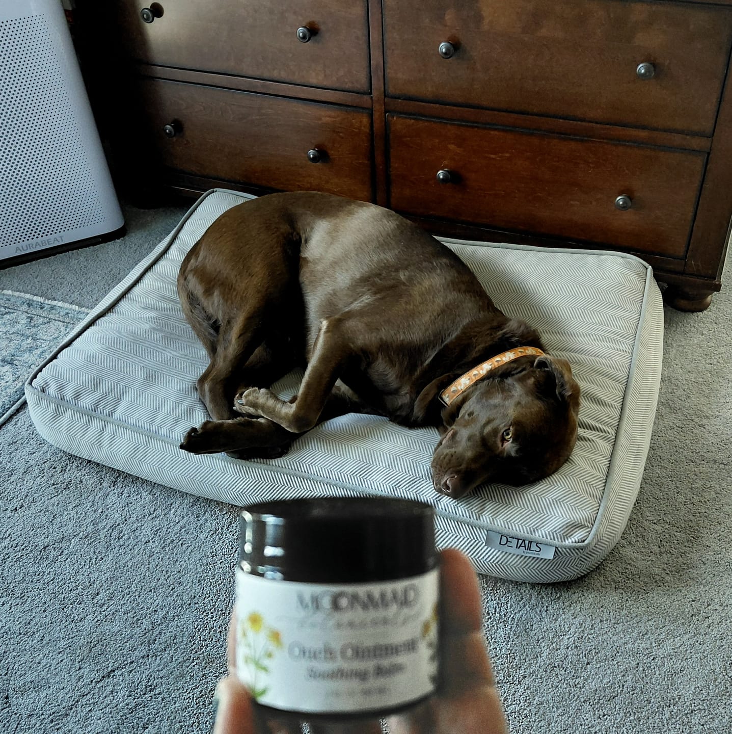 Customer photo review of Ouch Ointment Comfrey Salve