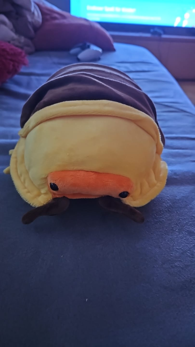 Customer photo review of Rubber Ducky Isopod Soft Stuffed Plush Toy