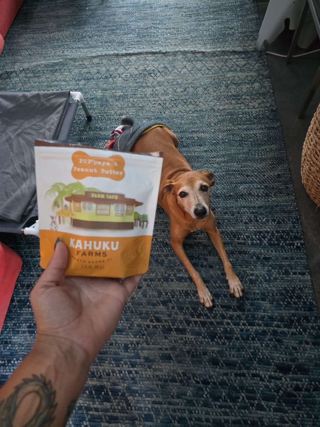 Customer photo review of PUP'paya & Peanut Butter Doggie Treats
