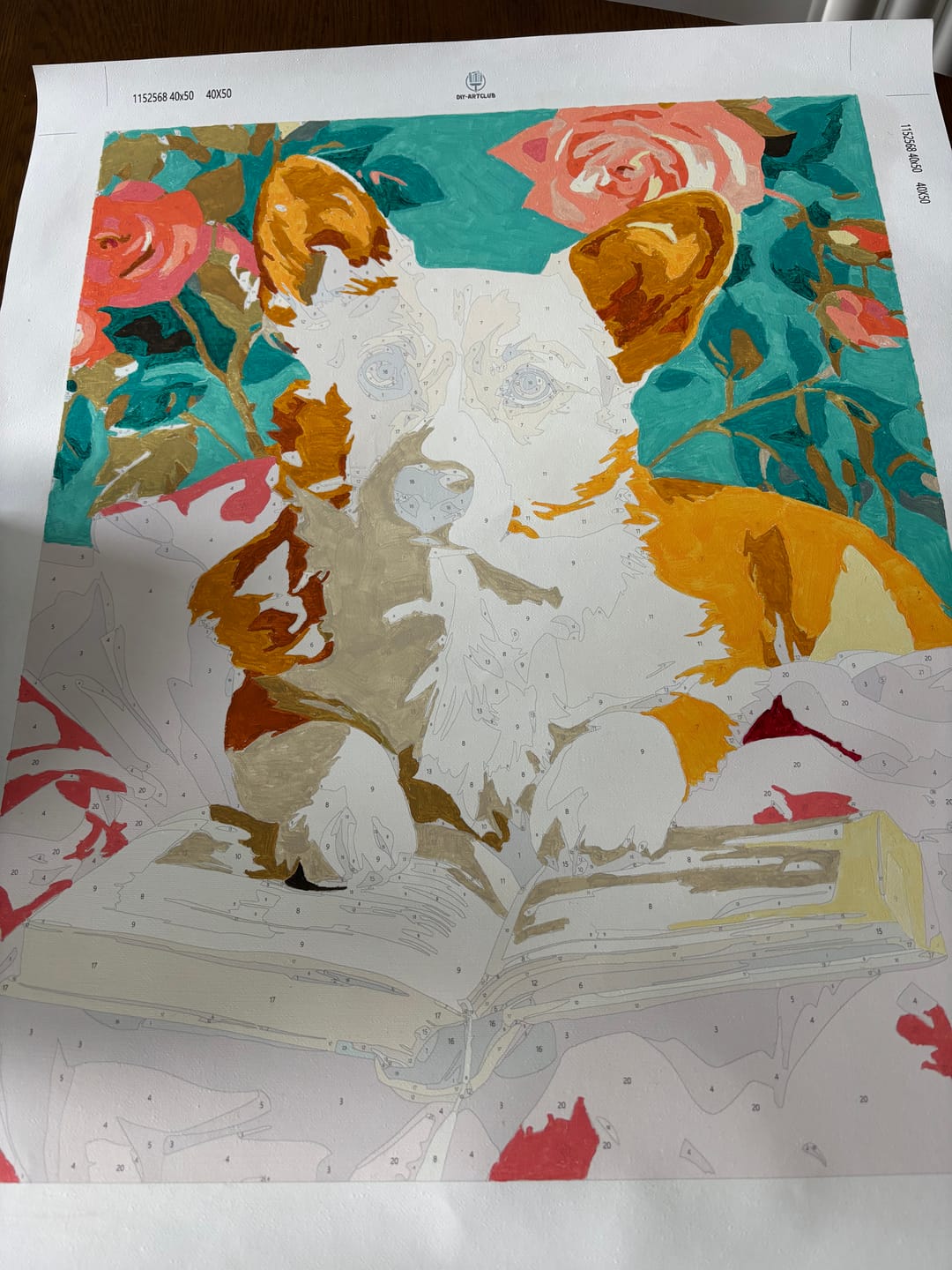 Customer photo review of Intelligent Corgi | Paint by Number