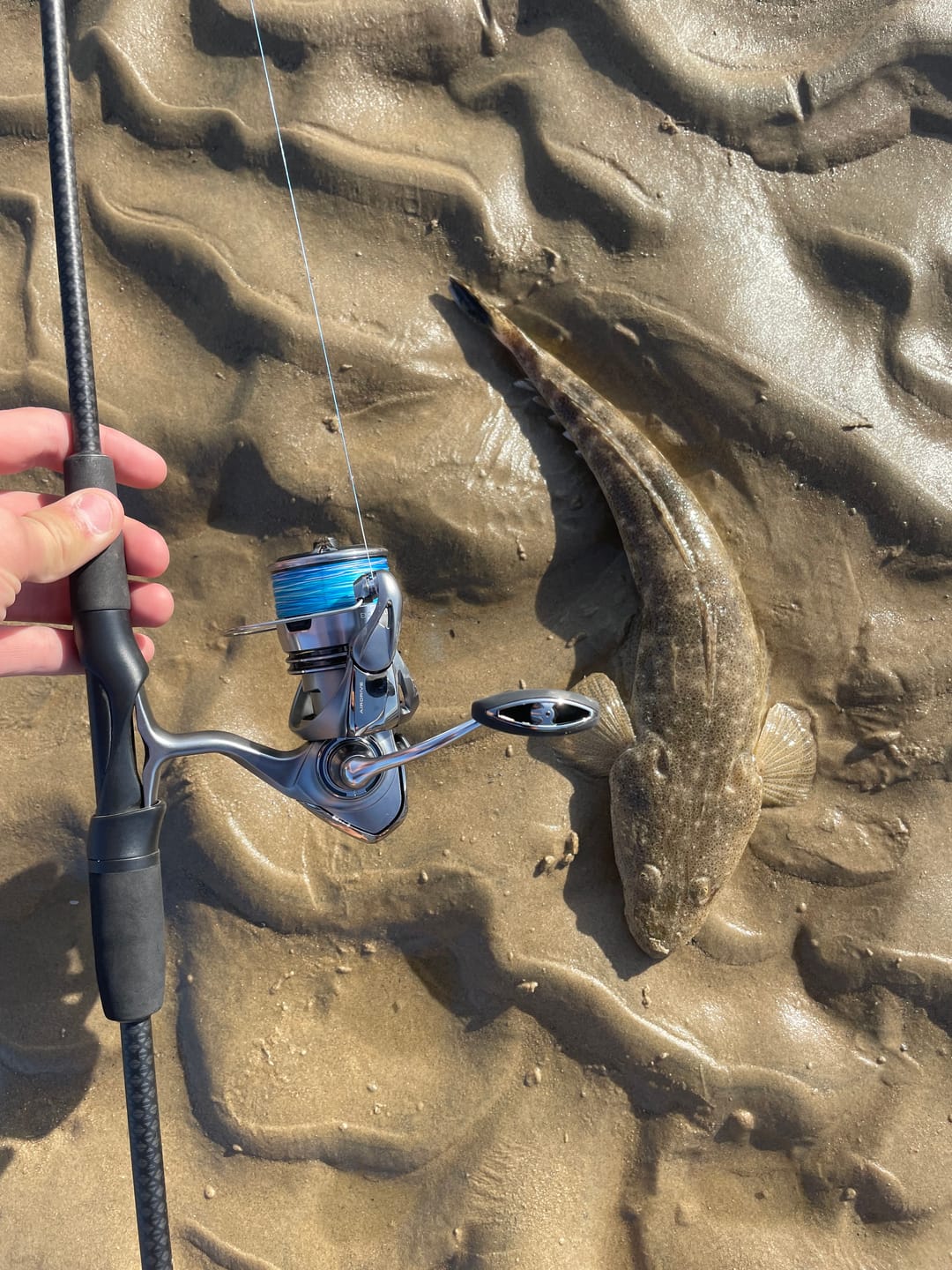 Customer photo review of GUPPIE SHAD