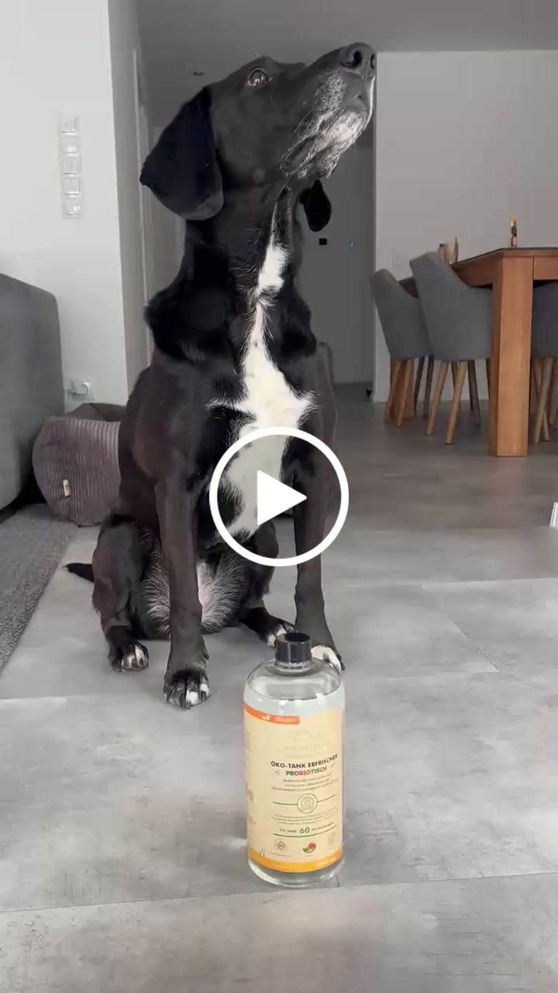Customer video review of Öko-Tankerfrischer probiotisch für Wischroboter-Schmutzwassertank (1000ml)