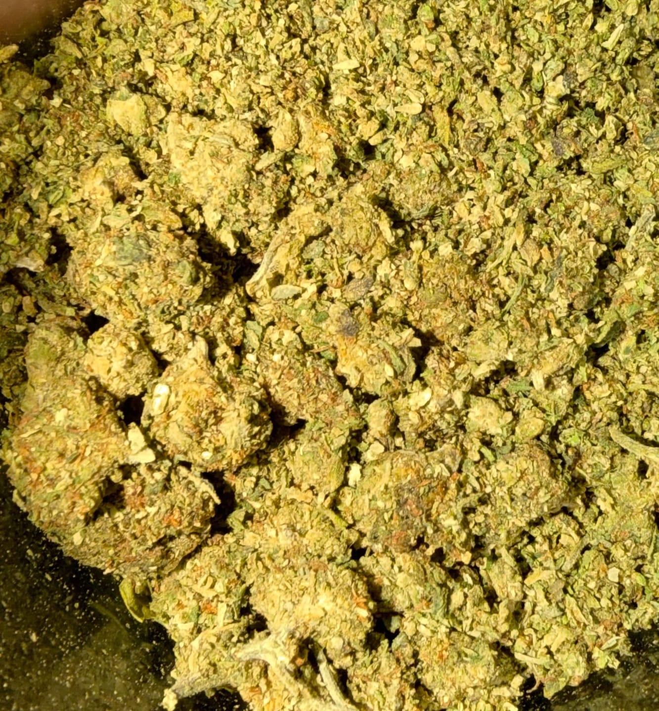 Customer photo review of Double Runtz Minis - Bulk Minis - Hybrid