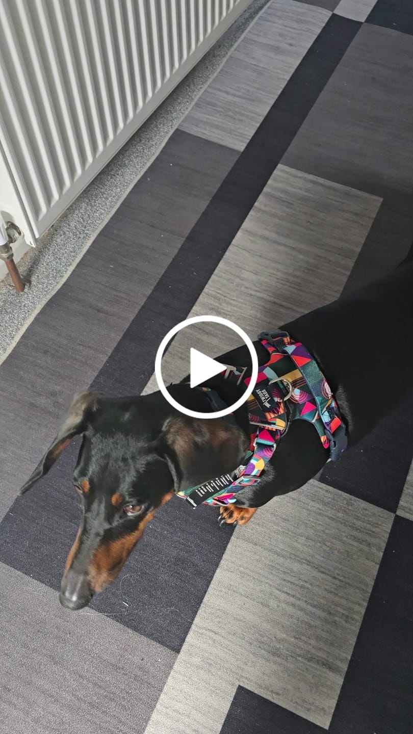 Customer video review of Close Control Lead