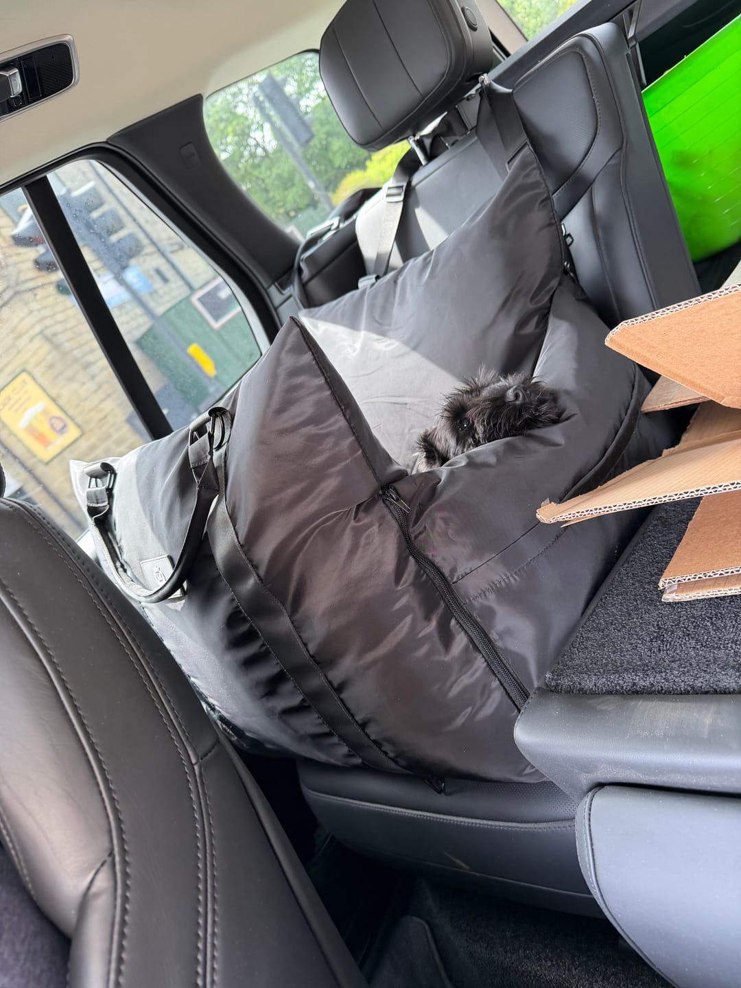 Customer photo review of Travel Dog Pod - Now With IsoFix