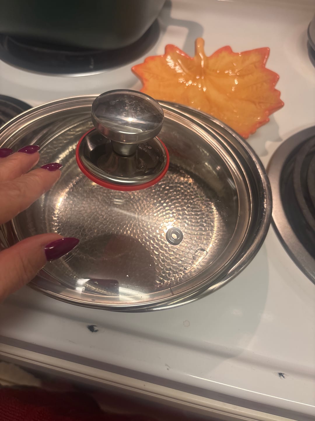 Customer photo review of Hand-Hammered Titanium Pan