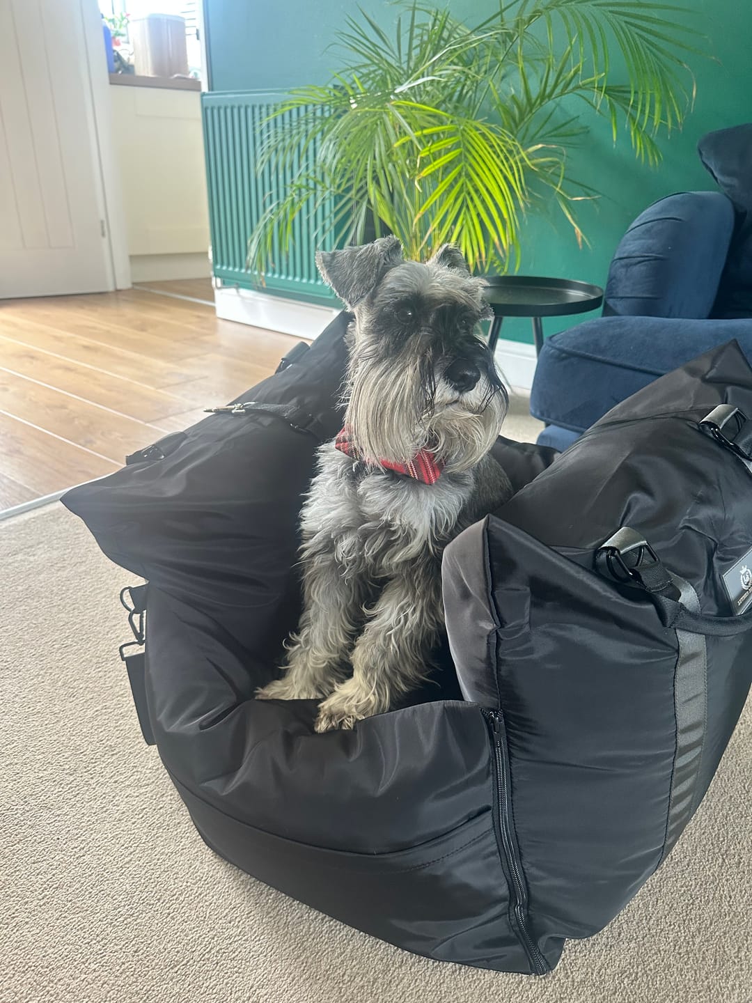 Customer photo review of Replacement Dog Pod Cover Set - With Isofix