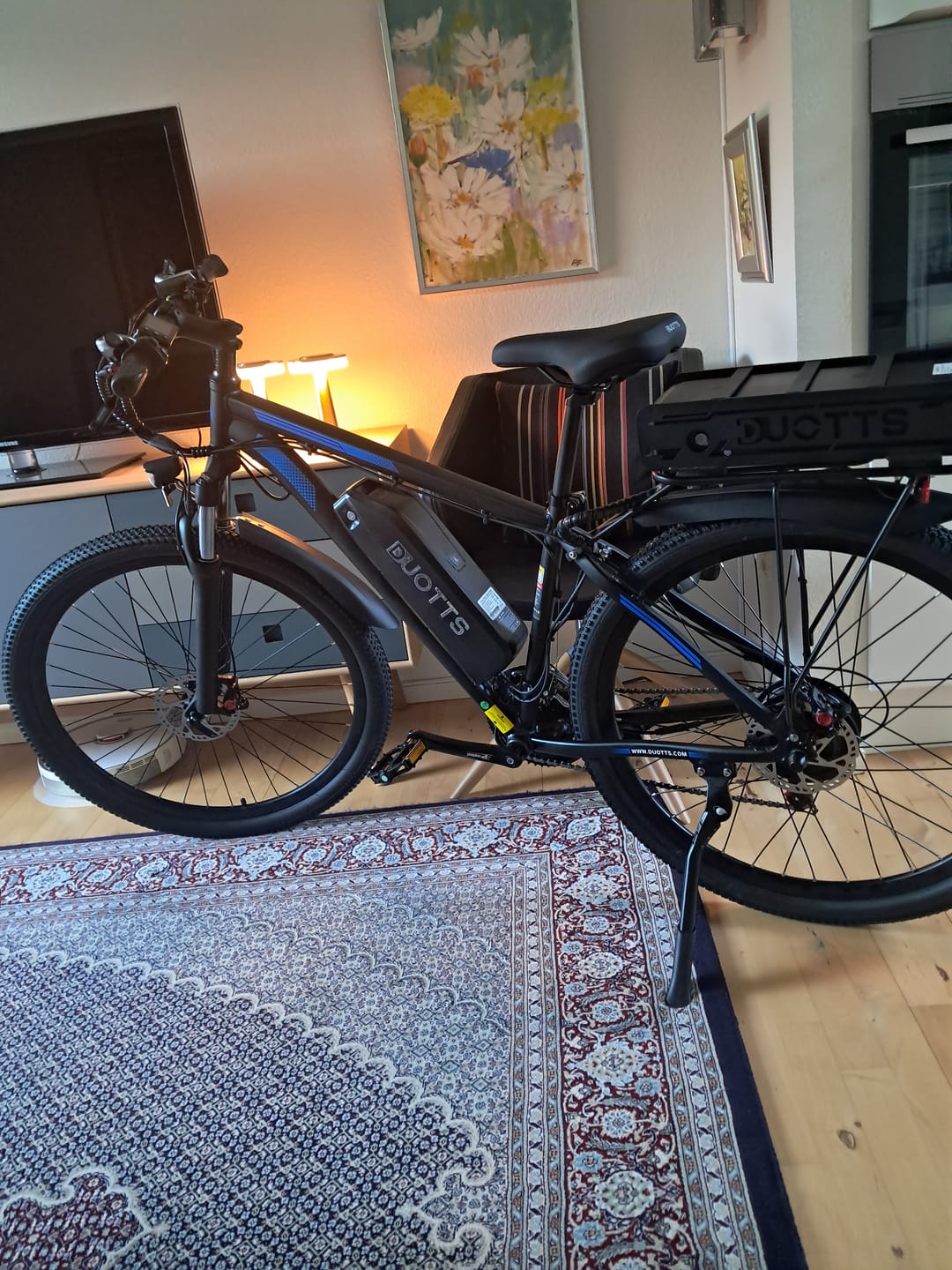 Customer photo review of DUOTTS C29-K Electric Bike