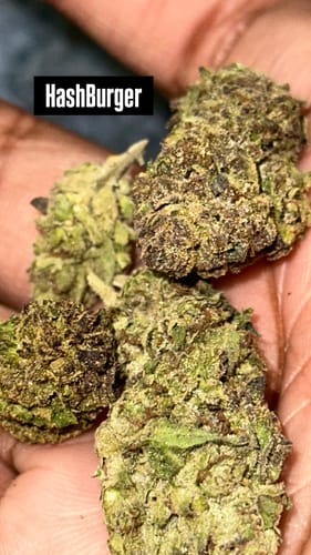 Hashburger - 14 Grams - Indica photo review