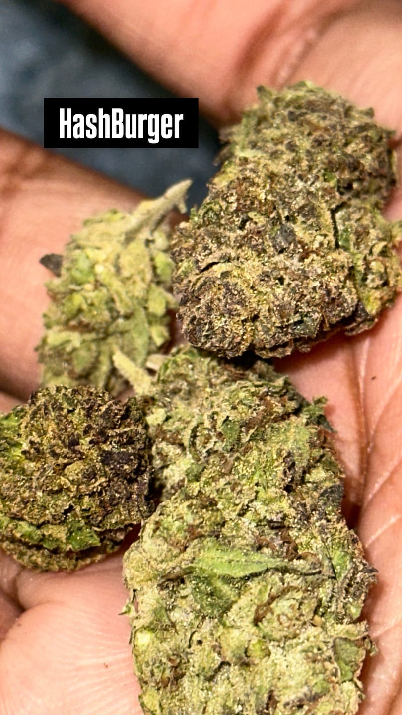 Customer photo review of Hashburger - 14 Grams - Indica