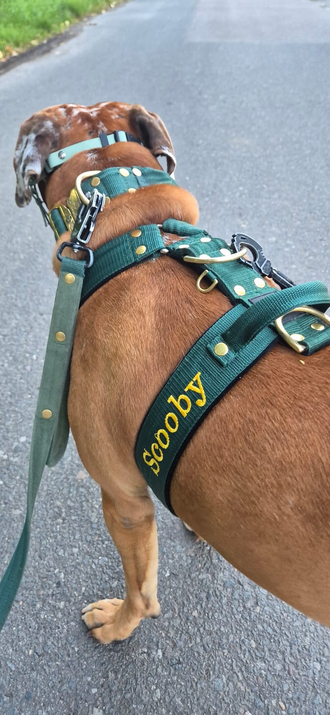 Customer photo review of Hundsele med namn