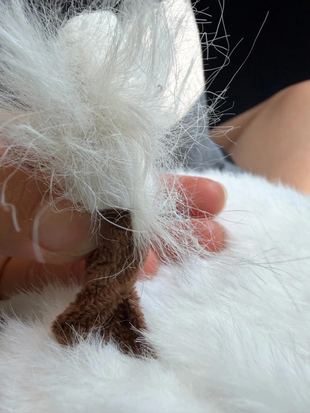 Customer photo review of Peluche cerf qui court quand on l'agite | Floomie®