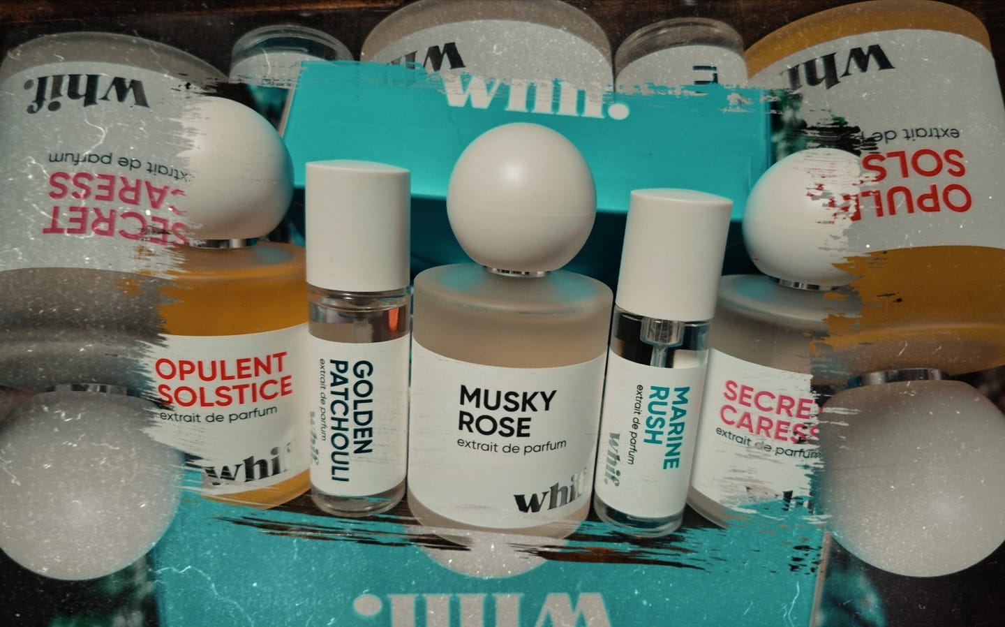 Customer photo review of Musky Rose